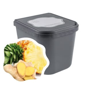 IJsmakerij ci Vediamo Horeca ananas gember 2,5l